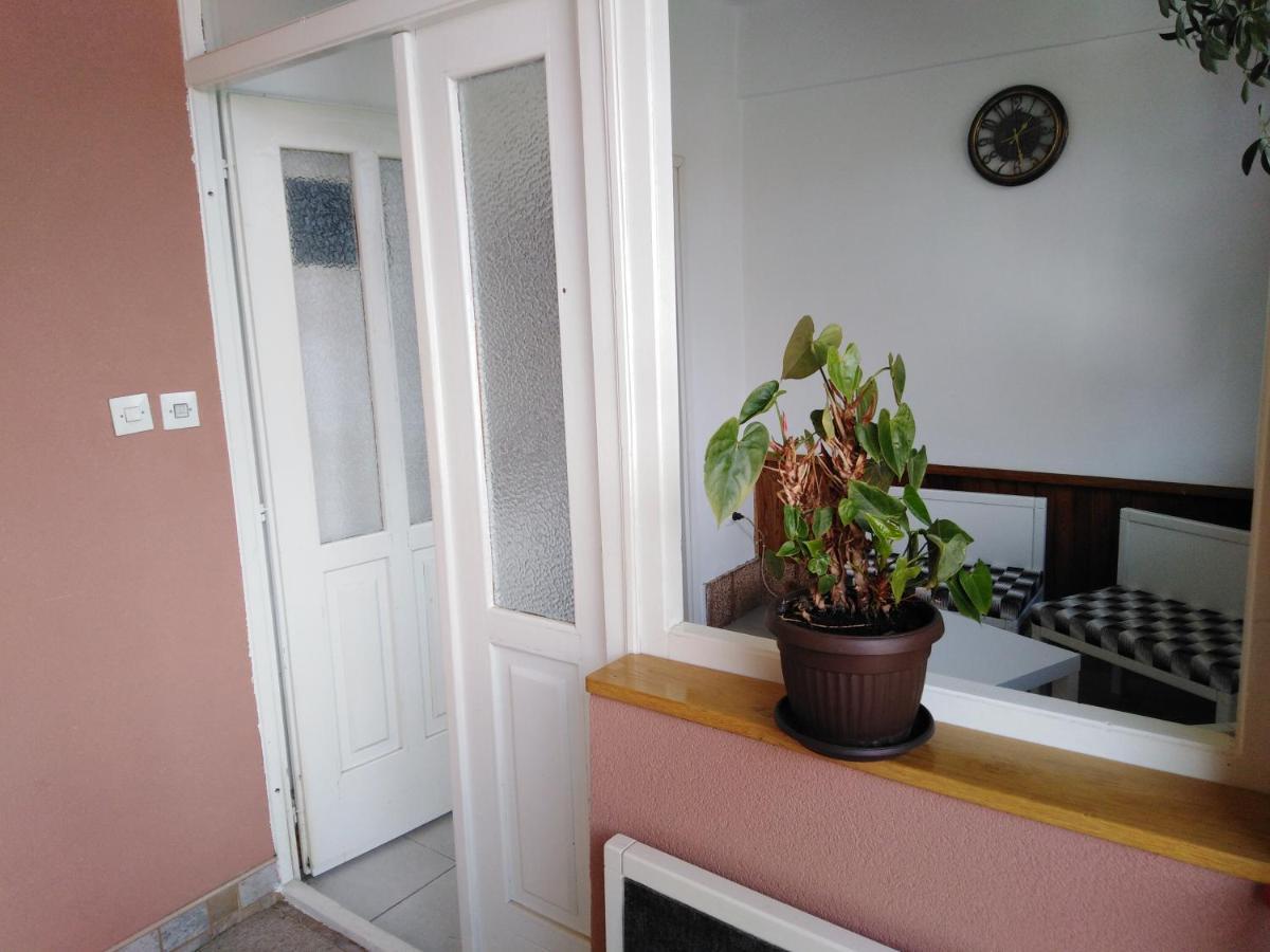 Apartament Mala Basta Bajina Basta Zewnętrze zdjęcie