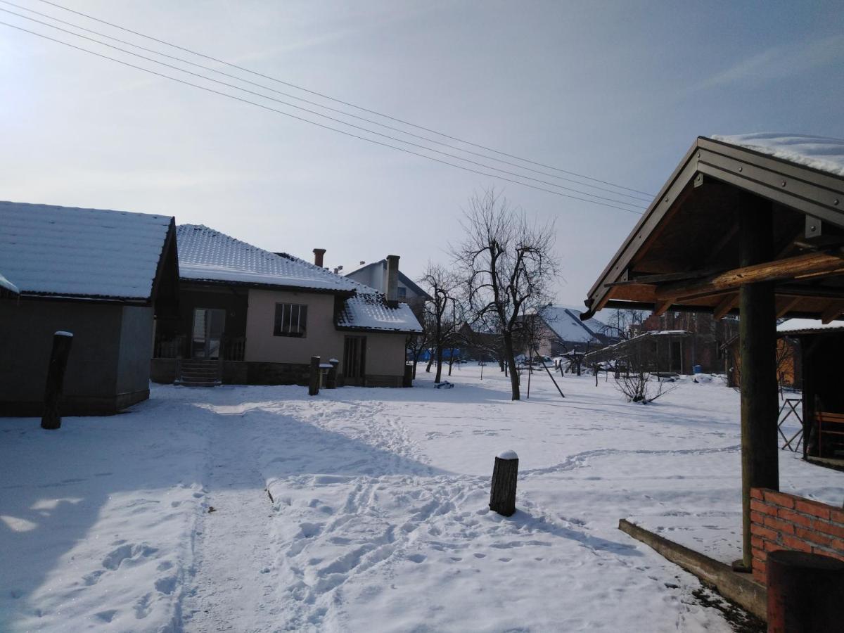 Apartament Mala Basta Bajina Basta Zewnętrze zdjęcie